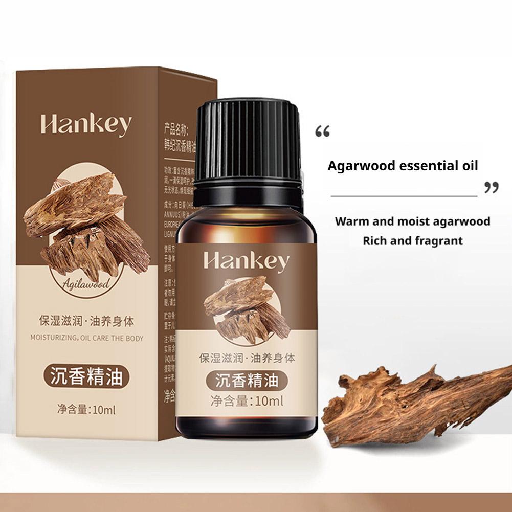 10ml 허브 에센셜 오일 세트 6가지 식물 추출물 로 - Body Oil 리뷰 및 가격
